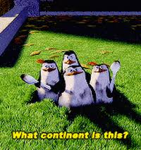 Images tagged penguins of madagascar. Penguins Madagascar Gifs Get The Best Gif On Giphy