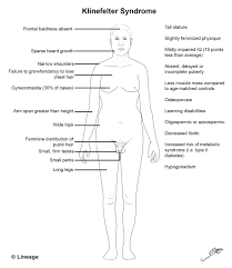 Klinefelter Syndrome Reproductive Medbullets Step 1