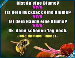 Ich habe mit beiden mal gespielt, scholl war der lustigere. Bald Geht S Wieder Los Fruhling Sommer Hummel Lustige Spruche Humor Lachen Jodel Witzige Spruche Witze Lustig Lustige Spruche