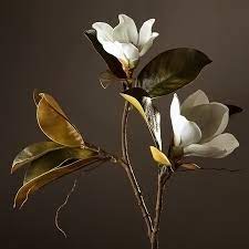 Magnolia.ro offers you the most prompt services: High Grade Decorative Artificial Flowers 1 Piece Super Beautiful Fake Magnolia Home Coffee Shop Decor Display Silk Flowers Silk Flowers Artificial Flowersdecorative Artificial Flower Aliexpress