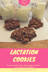 The Tastiest Healthy Lactation Cookies Ever No Bake Easy To Make Vegan And Gluten Free Recipe Healthy Lactation Cookies Lactation Cookies Recipe Lactation Cookies