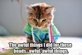 The Awful Things I Did For These Beads Awful Awful Things Beads Funny Humor Funny Cats Bad Cats Funny Animals