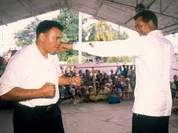 We did not find results for: Die Boxwelt Trauert Um Teofilo Stevenson Mehr Sport Kicker