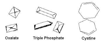 urinalysis