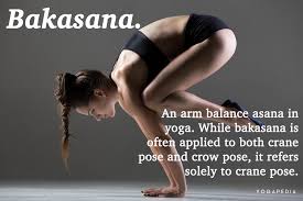 What Is Bakasana Definition From Yogapedia Yoga Poses Asana Crane Pose