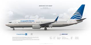 Boeing 737 800 Copa Airlines Aircraft Airlines Aircraft Design