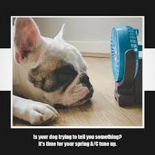 Contains details on how long it it, the length, how to tell if your bulldog is in heat, and how to prepare. Top Tech Mechanical Heating Air Services Mech Top Twitter