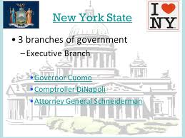 How Do State And Local Governments Work In New York Lesson