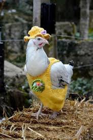 6 Name Knitting Easter Chicken Coats With Matching Hats Best Egg Laying Chickens Chickens Backyard Pet Chickens
