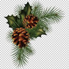 Conifer Cone Pine Fir Spruce Pine Cone Material Png Material Leaf Christmas Decoration Png Klipartz Christmas or christmas day is an annual festival commemorating the birth of jesus christ, observed most commonly on december 25 as a religious and cultural celebration among billions of people around the world. conifer cone pine fir spruce pine cone