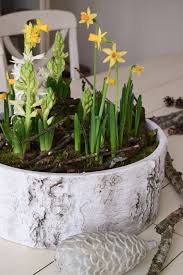 Fruhlingsdeko Selber Machen Mit Naturmaterialien Moos Fruhlingsbluher Zweige Dekoidee Fruhling Tischdeko Naturmaterialien Fruhling Basteln Fruhling Ostern