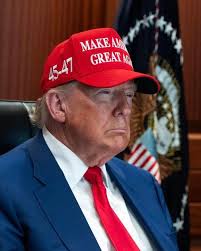 Americans Against The Lies And Liars Of Donald Trump