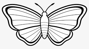 Use it in your personal projects or share it as a cool sticker on whatsapp, tik tok, instagram, facebook messenger, wechat, twitter or in other messaging apps. Very Colourful Butterfly Cartoon Images Clipart Butterfly Cartoon Hd Png Download Kindpng