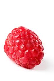Red raspberry png images, red, red hair, red fox, red meat, black raspberry, red red red hair red fox red meat black raspberry red raspberry leaf raspberry pi. Single Red Raspberry Isolated Over White Stock Photo Image Of Health Antioxidant 15168524