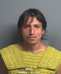 Cops Say Willis Man Swiftly Went from Odd Behavior to Three Felonies