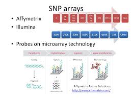 Validation with the illumina goldengateh assay was performed on a subset of the predicted snps, verifying ,75% of genic. Mining Your Personal Genome Ppt Video Online Download