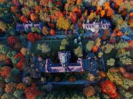 Die erweiterung des baumkronenpfades ist fertig gestellt und bietet den besuchern völlig neue ausblicke und perspektiven auf die beelitzer heilstätten. Baumkronenpfad Baum Zeit Flaming Beelitz Heilstatten