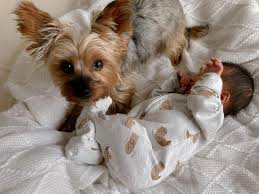 Hello from Japan 🎊🎊🎊 My sis and I got here