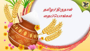 Image result for தைப்பொங்கல்