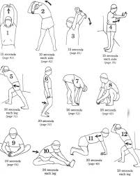 How To Increase Your Vertical Jump By 12 Inches In Few Days Pouted Com Workout Warm Up Mma Workout Flexibility Workout