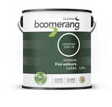 Dans un monde où les gens vivent des modes de vie plus mobiles que ce qu'ils ont pendant des siècles. Accueil Boomerang Paint