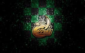 The resolution of image is 2191x905 and classified to san francisco 49ers logo, 49ers logo, charlotte flair. Herunterladen Hintergrundbild Charlotte 49ers Glitter Logo Ncaa Grun Schwarz Karierten Hintergrund Usa American Football Team Die Charlotte 49ers Logo Mosaik Kunst American Football Amerika Fur Desktop Kostenlos Hintergrundbilder Fur Ihren