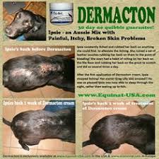 (1 days ago) with a written prescription from a veterinarian, we dispense medications for conditions such as arthritis, atopic dermatitis, and heart failure ranging from brands like apoquel, vetmedin, previcox, cardisure and many more. 160 Health Dog Cat Ideas In 2021 Dog Cat Dogs Pet Hacks