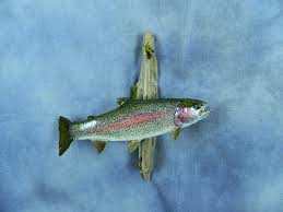 Where you can still catch a fish for a buck. Showpiece Taxidermy Fish Walleye Trout Crappie Mounts