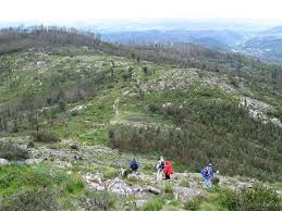 We did not find results for: Serras De Monchique Espinhaco De Cao E Caldeirao
