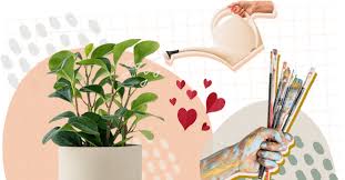They appear to be tranquil and peaceful to others, with simple desires. All About The Infp Personality Type Truity