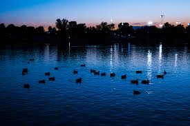 We look forward to seeing you at the next sunset! The Best Las Vegas Parks To Get Sun Relax Picnic And Be Outdoors