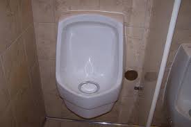 The 2010 census found that 8% of households had an operational urinal in at least one of their bathrooms. Why Don T Homes Have Urinals And How Much Does It Cost To Install One
