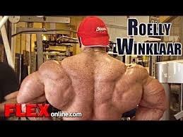 Roelly Winklaar Big Wide Back Legs Workout For The 2012 Olympia Youtube His father died in a motorcycle accident when he was four years old. roelly winklaar big wide back legs workout for the 2012 olympia
