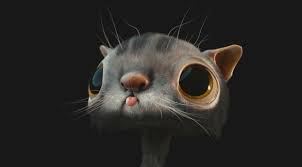 Cat Face 3d Wallpaper Hd 3d 4k Wallpapers Images Photos And Background Funny Cat Wallpaper Cat Background Cat Wallpaper