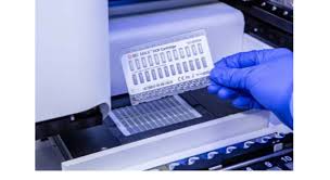 Testing is also used to screen for infection in crucial target groups like healthcare and social workers as part of local surveillance programmes. Biogx And Bd Max Covid 19 Molecular Test Is Granted F