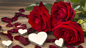 Manfaat dan kegunaan bunga mawar. Manfaat Bunga Mawar Beserta Gambarnya Mahasiswa Unikom