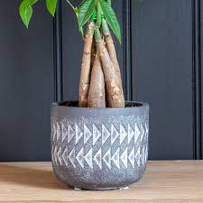 Plant containers for indoors online can be very difficult to find. Indoor Ceramic Plant Pot Aztec Indoor Plant Pots Stonepencil