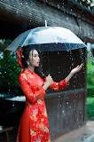 Why choose a transparent umbrella? - Le Parapluie de Cherbourg