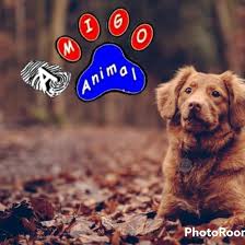 Clínica Veterinaria Amigo Animal