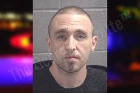 Sean Bolt — Spalding County Jail Bookings