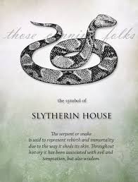 Pin By Anne Dellton On Harry Potter Harry Potter Universal Slytherin House Slytherin