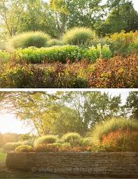 An Einem Wunderbaren Sommertag Im Letzen August Bin Ich Nach Dortmund In Den Westfalenpark Gefahren Ich Kenne Den Park Botanischer Garten Bepflanzung Garten