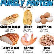 Pin On Protein