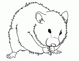 Your kid will enjoy his time with these hamster coloring pages free. Hamster Coloring Pages Coloring Home