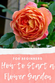 We did not find results for: How To Start A Flower Garden For Beginners Whats Ur Home Story