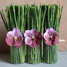 Pin By Nada Seddiqi On Flowers Flowers Asparagus Vegetables