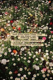 Flowers of the field lyrics. Pin By Paleblue On All About Lyrics Beautiful Flowers Plants Flower Field