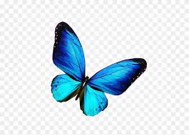 Download Transparent Background Butterfly Png Png Gif Base Beautiful red monarch butterfly isolated on stock photo (edit now) 765554878. transparent background butterfly png