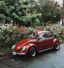 Image result for Poppy Red 1960 Volkswagen