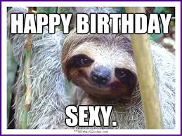 Happy Birthday Memes With Funny Cats Dogs And Animals Sloth Meme Sloths Funny Friendship Memes